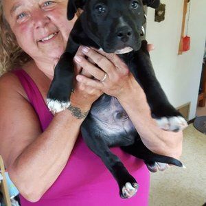 Meet your Posher, Connie